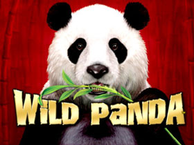 Learn to Play Wild Panda Slots