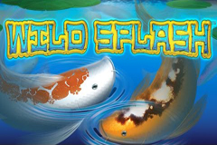 Wild Splash Game Review