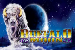 Buffalo Moon video slot review