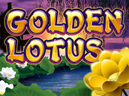 Golden Lotus